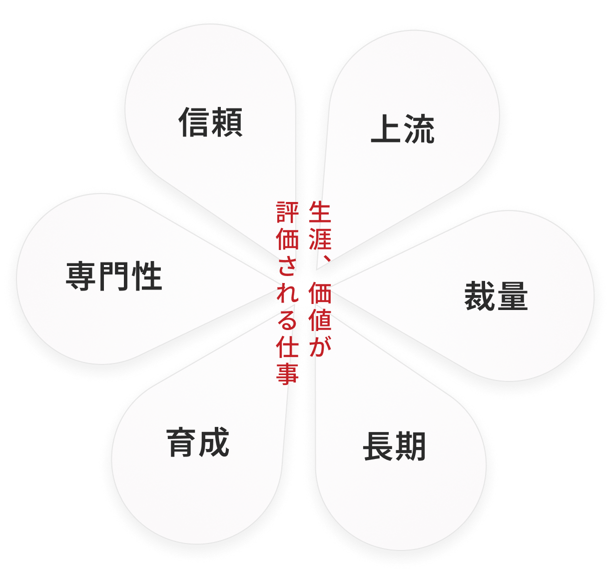 未経験からの育成や公平な評価制度など、6つの強みを花びら状に表した図